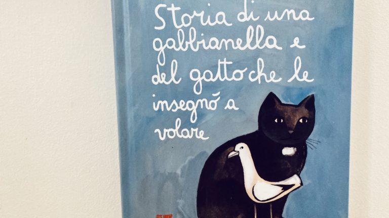 Storia di una gabbianella